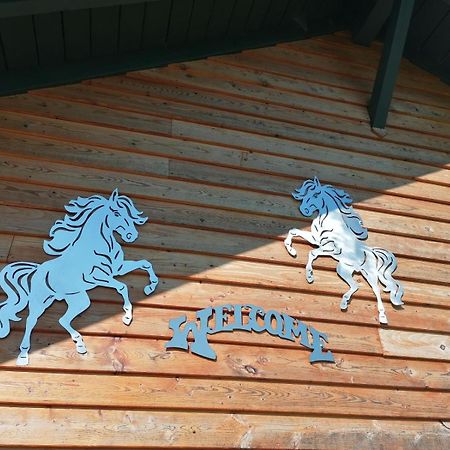 Wild Life Ranch Villa Schofweg ภายนอก รูปภาพ